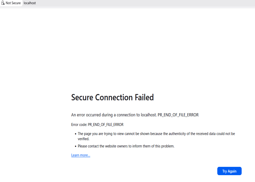 エラー画面の例